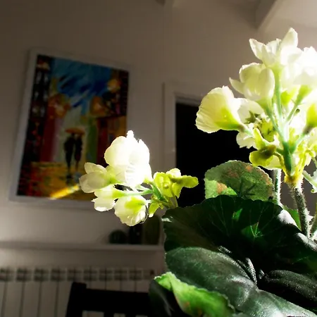 La Casetta Di Vale Apartment
